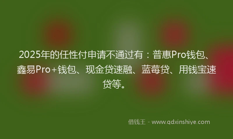 2025年的任性付申请不通过有：普惠Pro钱包、鑫易Pro+钱包、现金贷速融、蓝莓贷、用钱宝速贷等。