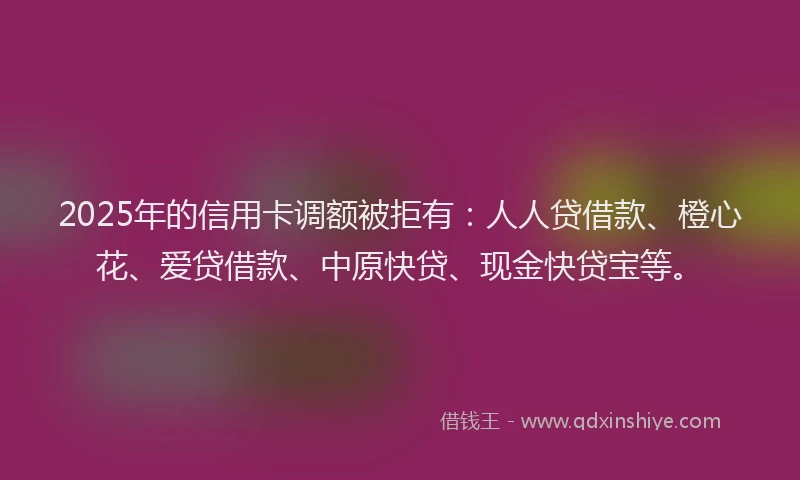 2025年的信用卡调额被拒有：人人贷借款、橙心花、爱贷借款、中原快贷、现金快贷宝等。