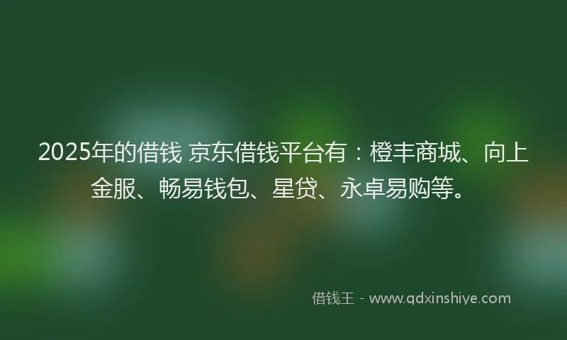 2025年的借钱 京东借钱平台有：橙丰商城、向上金服、畅易钱包、星贷、永卓易购等。