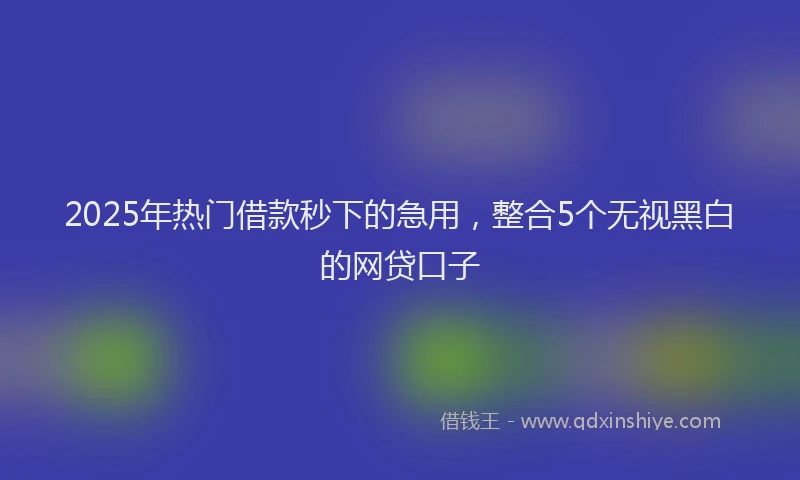 2025年热门借款秒下的急用，整合5个无视黑白的网贷口子