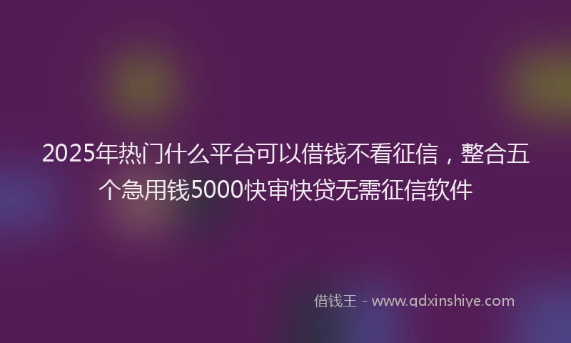 2025年热门什么平台可以借钱不看征信，整合五个急用钱5000快审快贷无需征信软件