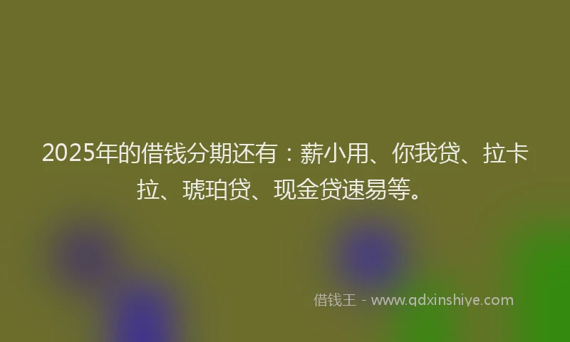 2025年的借钱分期还有：薪小用、你我贷、拉卡拉、琥珀贷、现金贷速易等。