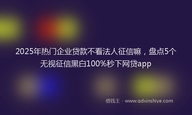 2025年热门企业贷款不看法人征信嘛，盘点5个无视征信黑白100%秒下网贷app