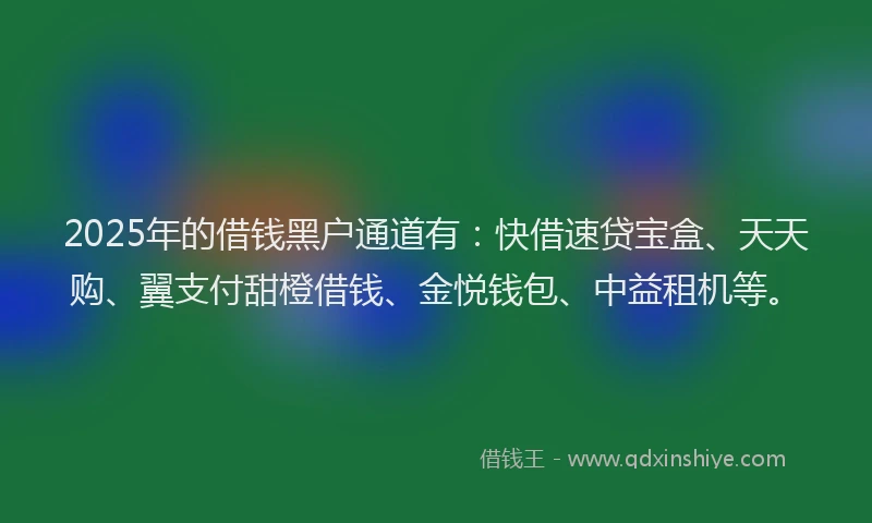2025年的借钱黑户通道有：快借速贷宝盒、天天购、翼支付甜橙借钱、金悦钱包、中益租机等。