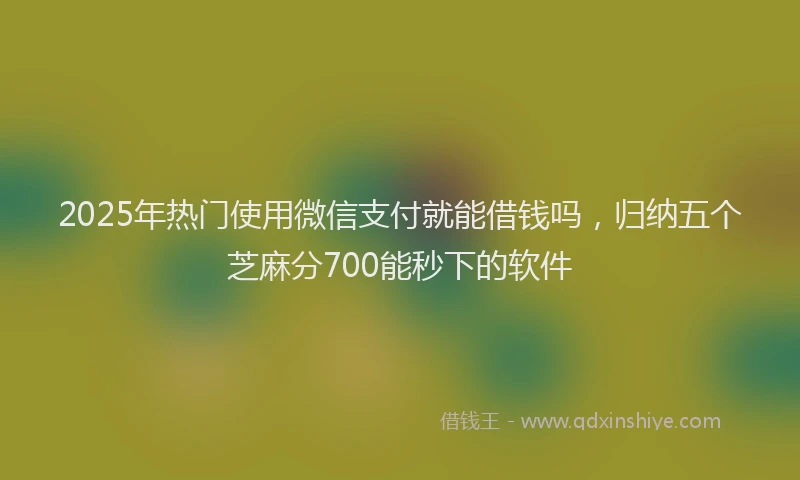 2025年热门使用微信支付就能借钱吗，归纳五个芝麻分700能秒下的软件