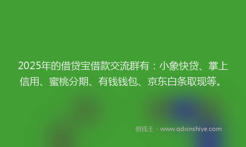 2025年的借贷宝借款交流群有：小象快贷、掌上信用、蜜桃分期、有钱钱包、京东白条取现等。