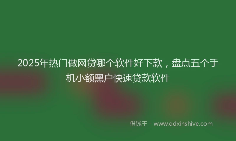 2025年热门做网贷哪个软件好下款，盘点五个手机小额黑户快速贷款软件