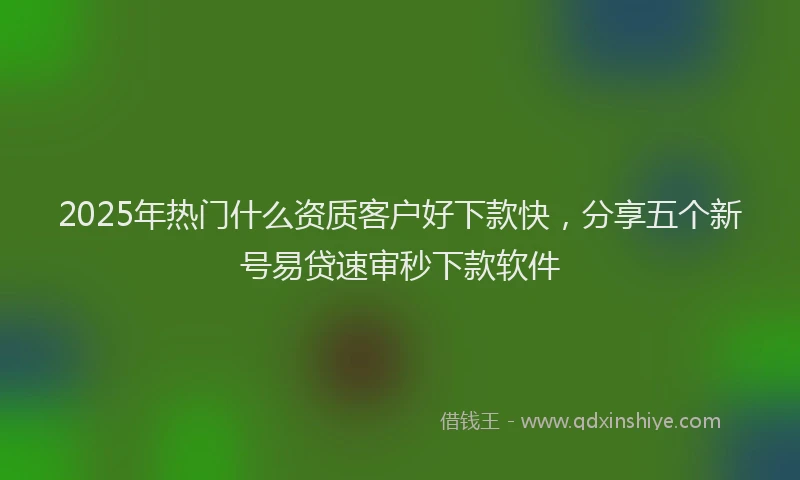 2025年热门什么资质客户好下款快，分享五个新号易贷速审秒下款软件