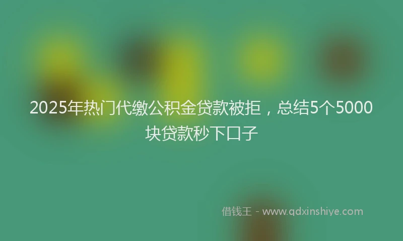 2025年热门代缴公积金贷款被拒，总结5个5000块贷款秒下口子