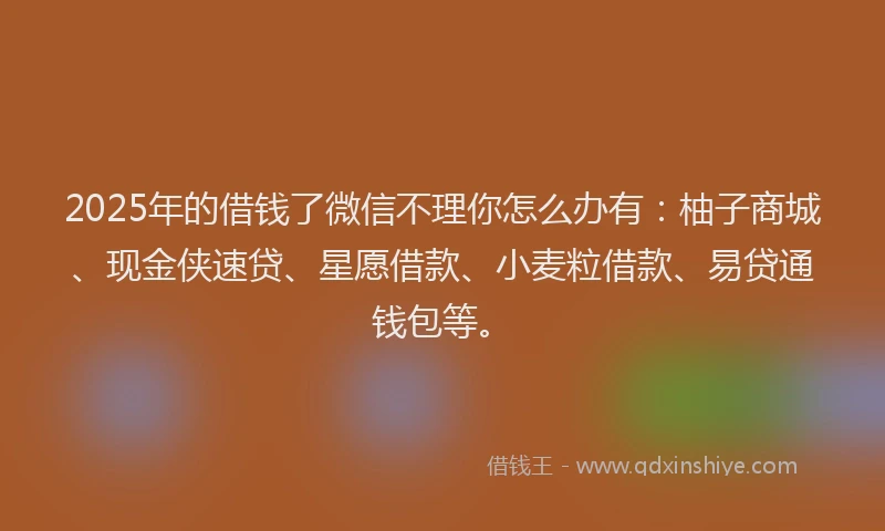 2025年的借钱了微信不理你怎么办有：柚子商城、现金侠速贷、星愿借款、小麦粒借款、易贷通钱包等。