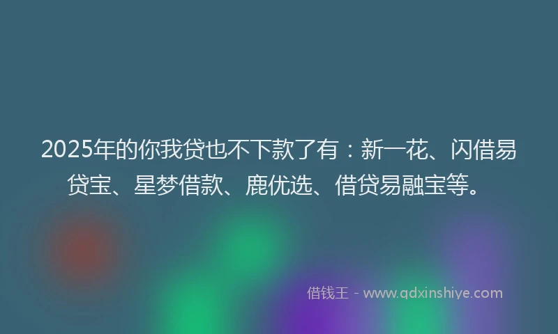 2025年的你我贷也不下款了有：新一花、闪借易贷宝、星梦借款、鹿优选、借贷易融宝等。
