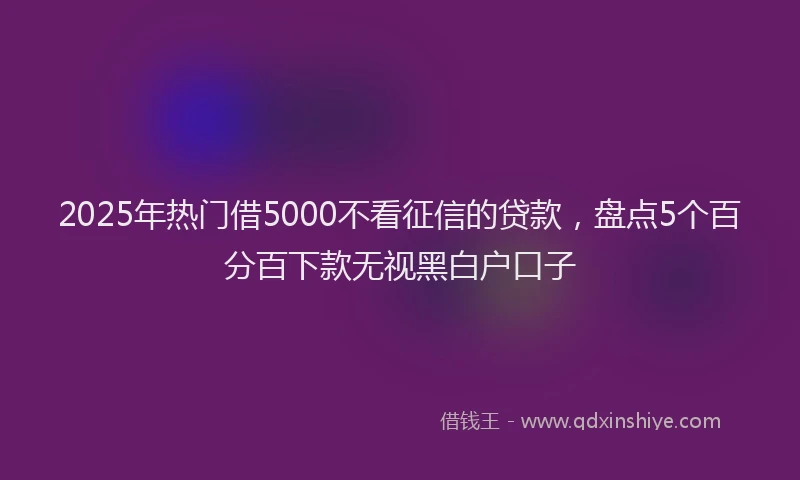 2025年热门借5000不看征信的贷款，盘点5个百分百下款无视黑白户口子