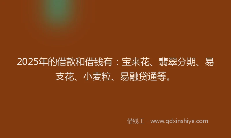 2025年的借款和借钱有：宝来花、翡翠分期、易支花、小麦粒、易融贷通等。
