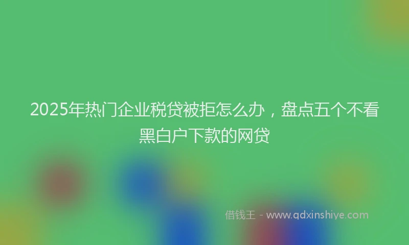 2025年热门企业税贷被拒怎么办，盘点五个不看黑白户下款的网贷