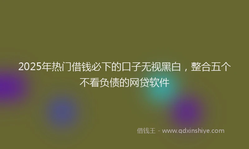 2025年热门借钱必下的口子无视黑白，整合五个不看负债的网贷软件
