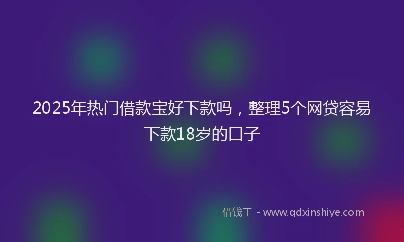 2025年热门借款宝好下款吗，整理5个网贷容易下款18岁的口子