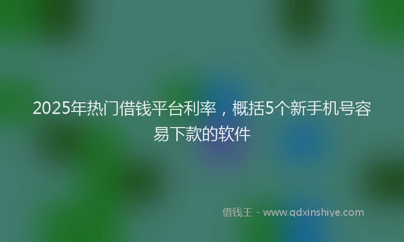 2025年热门借钱平台利率，概括5个新手机号容易下款的软件