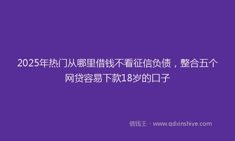 2025年热门从哪里借钱不看征信负债，整合五个网贷容易下款18岁的口子