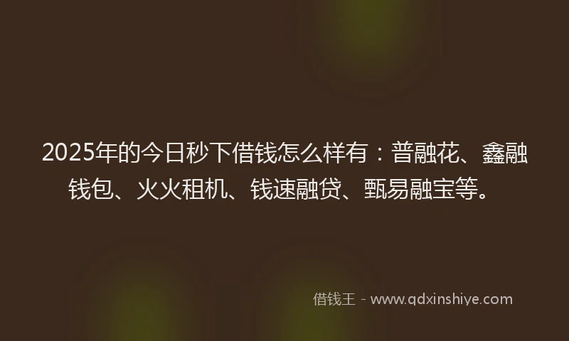 2025年的今日秒下借钱怎么样有：普融花、鑫融钱包、火火租机、钱速融贷、甄易融宝等。