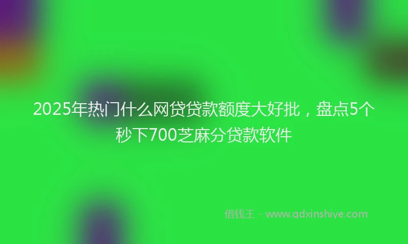 2025年热门什么网贷贷款额度大好批，盘点5个秒下700芝麻分贷款软件