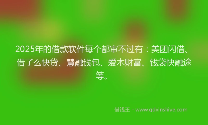2025年的借款软件每个都审不过有：美团闪借、借了么快贷、慧融钱包、爱木财富、钱袋快融途等。