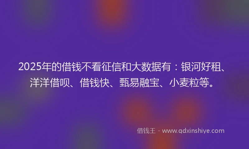 2025年的借钱不看征信和大数据有：银河好租、洋洋借呗、借钱快、甄易融宝、小麦粒等。