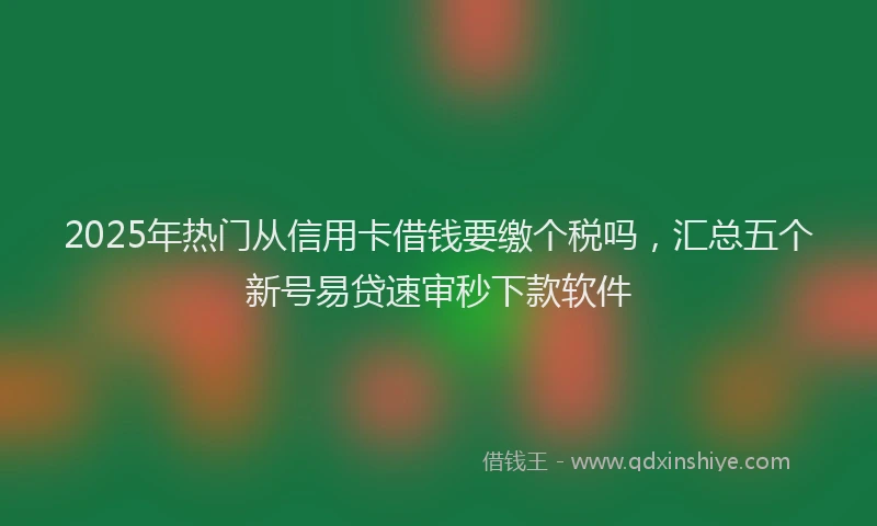 2025年热门从信用卡借钱要缴个税吗，汇总五个新号易贷速审秒下款软件