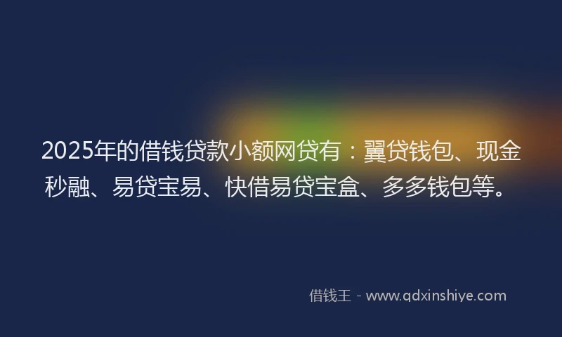 2025年的借钱贷款小额网贷有：翼贷钱包、现金秒融、易贷宝易、快借易贷宝盒、多多钱包等。
