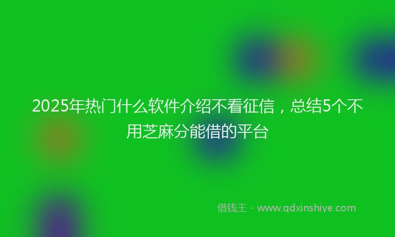 2025年热门什么软件介绍不看征信，总结5个不用芝麻分能借的平台