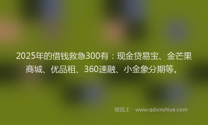 2025年的借钱救急300有：现金贷易宝、金芒果商城、优品租、360速融、小金象分期等。