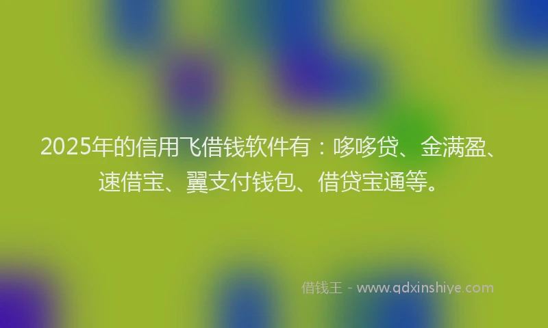 2025年的信用飞借钱软件有：哆哆贷、金满盈、速借宝、翼支付钱包、借贷宝通等。