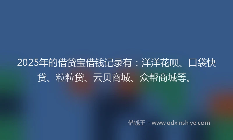 2025年的借贷宝借钱记录有：洋洋花呗、口袋快贷、粒粒贷、云贝商城、众帮商城等。