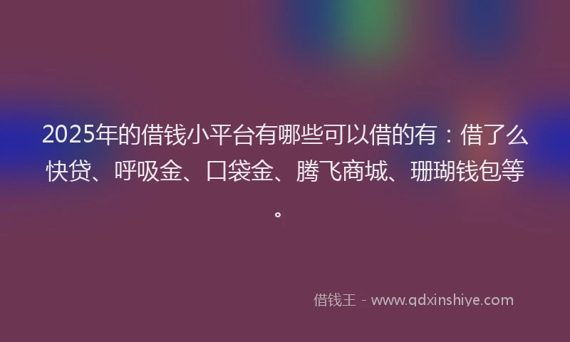 2025年的借钱小平台有哪些可以借的有：借了么快贷、呼吸金、口袋金、腾飞商城、珊瑚钱包等。