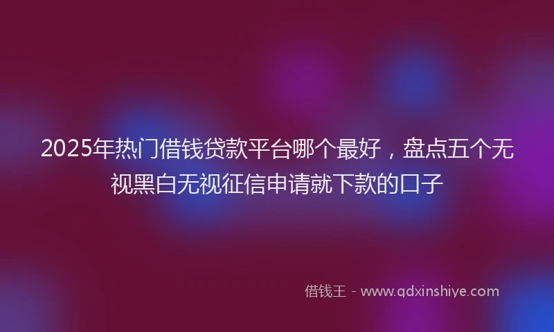 2025年热门借钱贷款平台哪个最好，盘点五个无视黑白无视征信申请就下款的口子