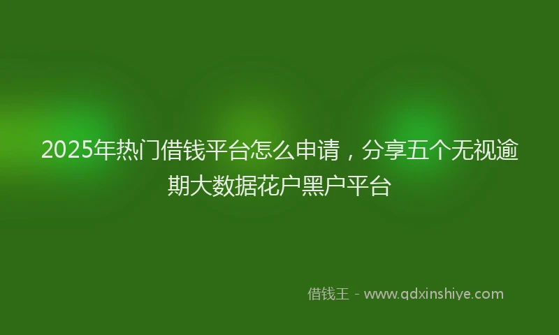 2025年热门借钱平台怎么申请，分享五个无视逾期大数据花户黑户平台