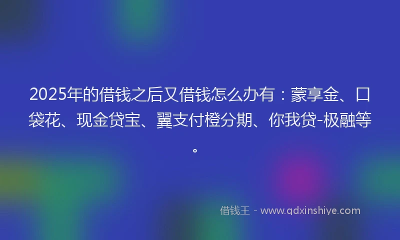 2025年的借钱之后又借钱怎么办有：蒙享金、口袋花、现金贷宝、翼支付橙分期、你我贷-极融等。
