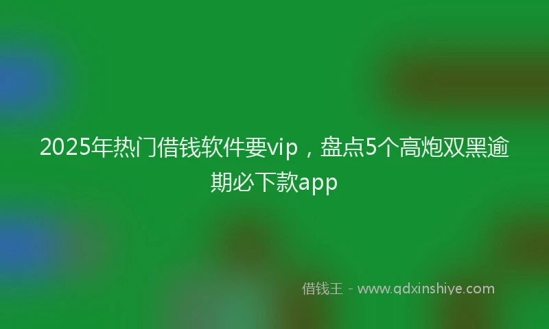 2025年热门借钱软件要vip，盘点5个高炮双黑逾期必下款app