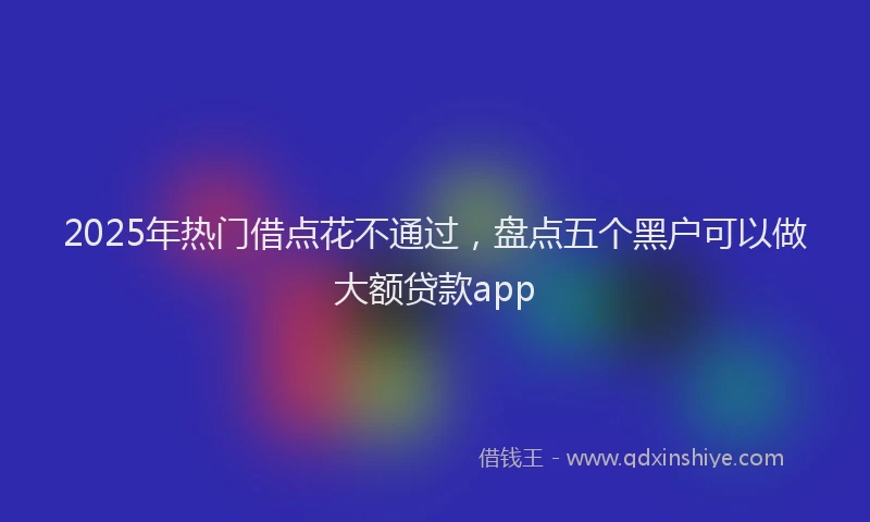 2025年热门借点花不通过，盘点五个黑户可以做大额贷款app