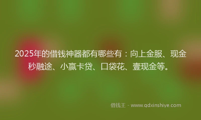 2025年的借钱神器都有哪些有：向上金服、现金秒融途、小赢卡贷、口袋花、壹现金等。