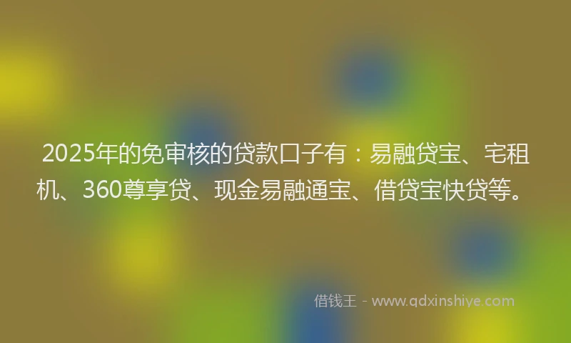 2025年的免审核的贷款口子有：易融贷宝、宅租机、360尊享贷、现金易融通宝、借贷宝快贷等。