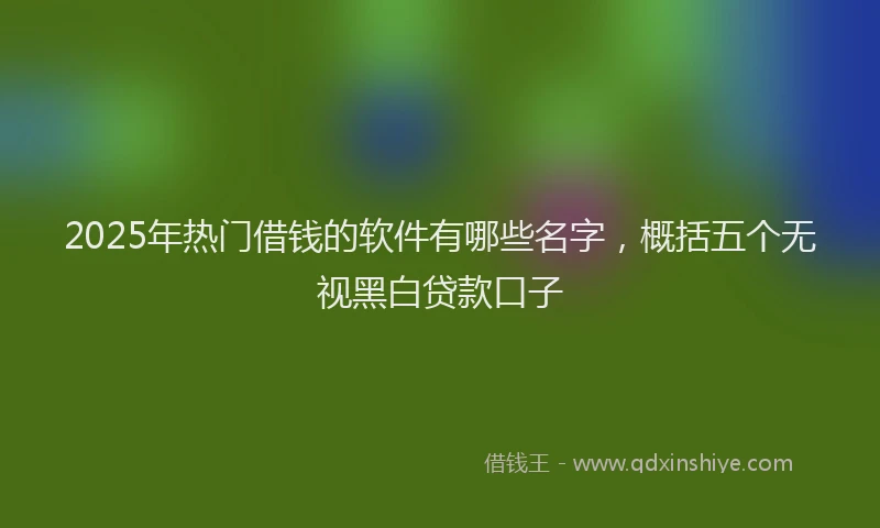 2025年热门借钱的软件有哪些名字，概括五个无视黑白贷款口子