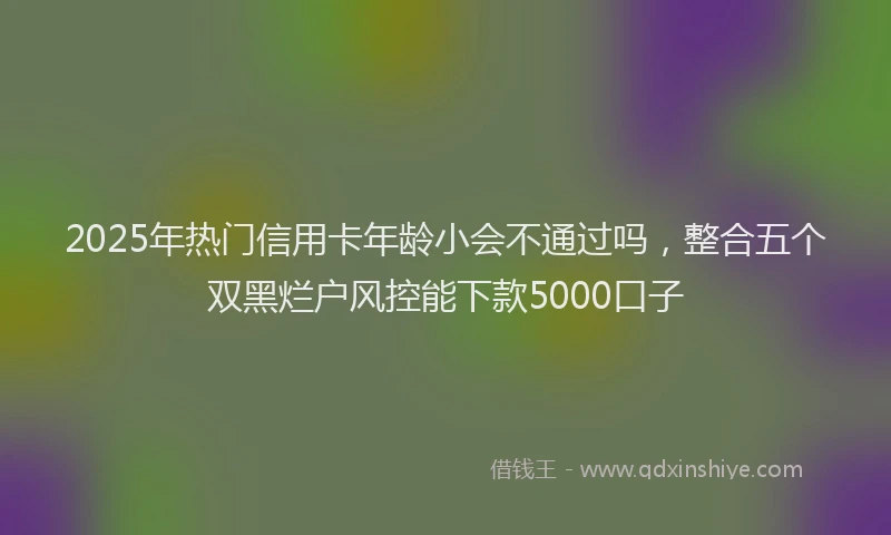 2025年热门信用卡年龄小会不通过吗，整合五个双黑烂户风控能下款5000口子