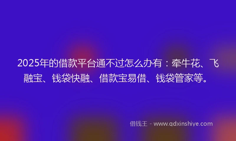 2025年的借款平台通不过怎么办有：牵牛花、飞融宝、钱袋快融、借款宝易借、钱袋管家等。