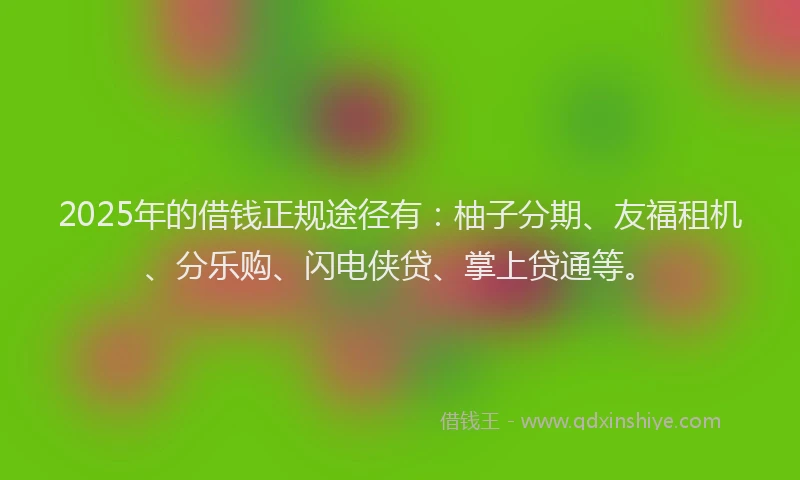 2025年的借钱正规途径有：柚子分期、友福租机、分乐购、闪电侠贷、掌上贷通等。