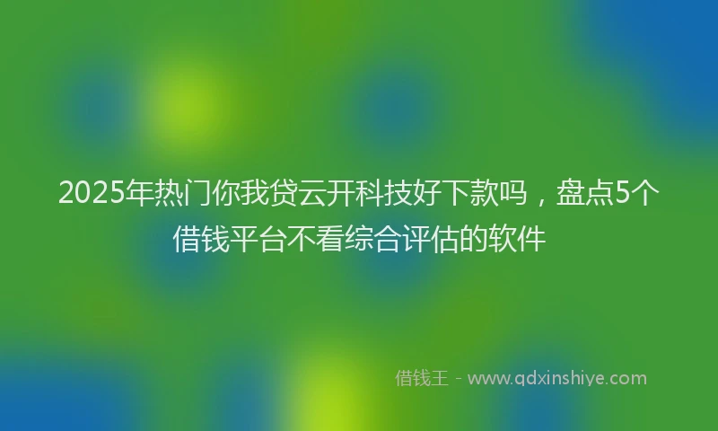 2025年热门你我贷云开科技好下款吗，盘点5个借钱平台不看综合评估的软件
