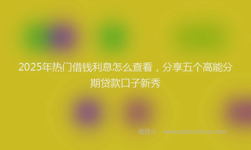 2025年热门借钱利息怎么查看，分享五个高能分期贷款口子新秀