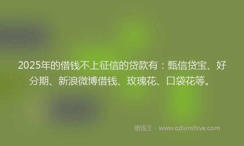 2025年的借钱不上征信的贷款有：甄信贷宝、好分期、新浪微博借钱、玫瑰花、口袋花等。