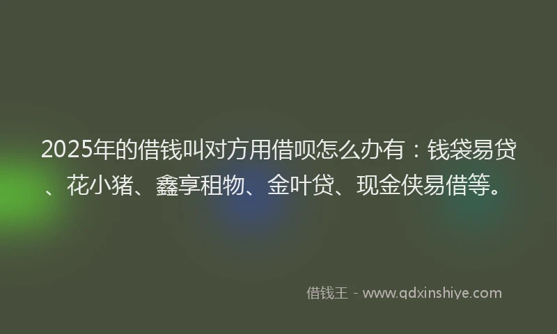 2025年的借钱叫对方用借呗怎么办有：钱袋易贷、花小猪、鑫享租物、金叶贷、现金侠易借等。