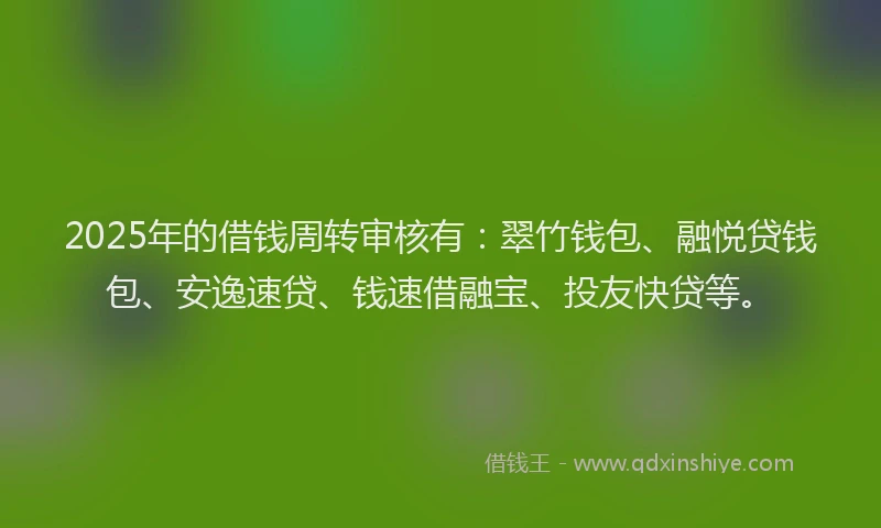 2025年的借钱周转审核有：翠竹钱包、融悦贷钱包、安逸速贷、钱速借融宝、投友快贷等。