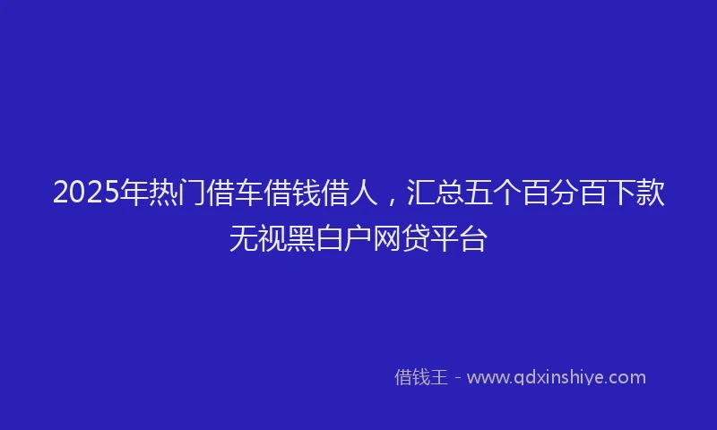 2025年热门借车借钱借人，汇总五个百分百下款无视黑白户网贷平台
